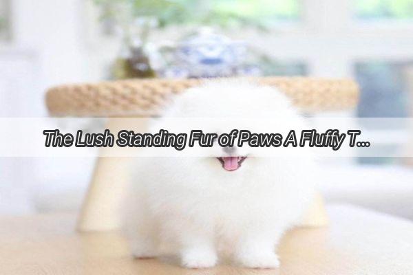 The Lush Standing Fur of Paws A Fluffy Tribute to a Dogs Heartbeat